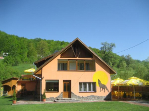 Pensiunea Colt Alb Băile Homorod